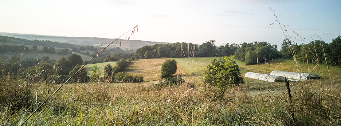 Des serres de la ferme