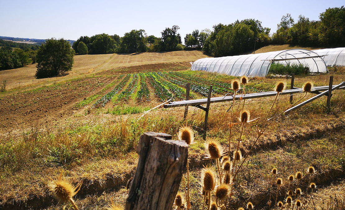 La ferme