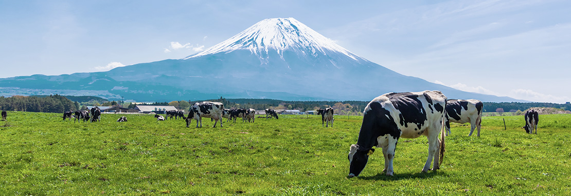 Mont Fuji